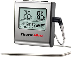 Thermo Pro TP16