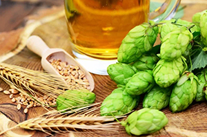 Kit de brassage de bière : le volume
