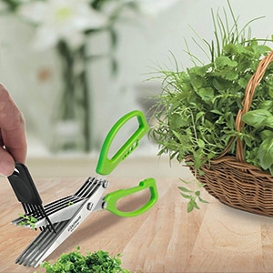 Ciseaux à herbes : le nombre de lames