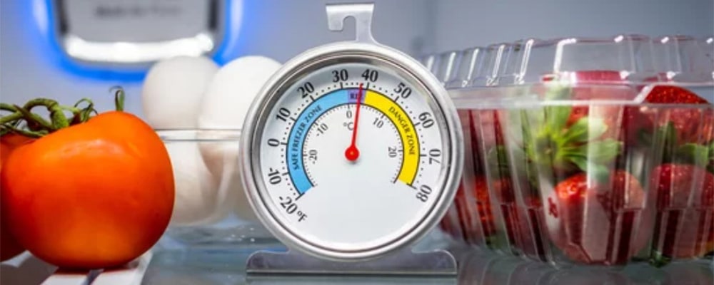 Thermomètre réfrigérateur : les types de thermomètres de frigo