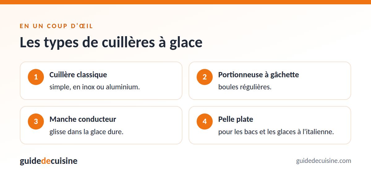 Infographie : les types de cuillères à glace
