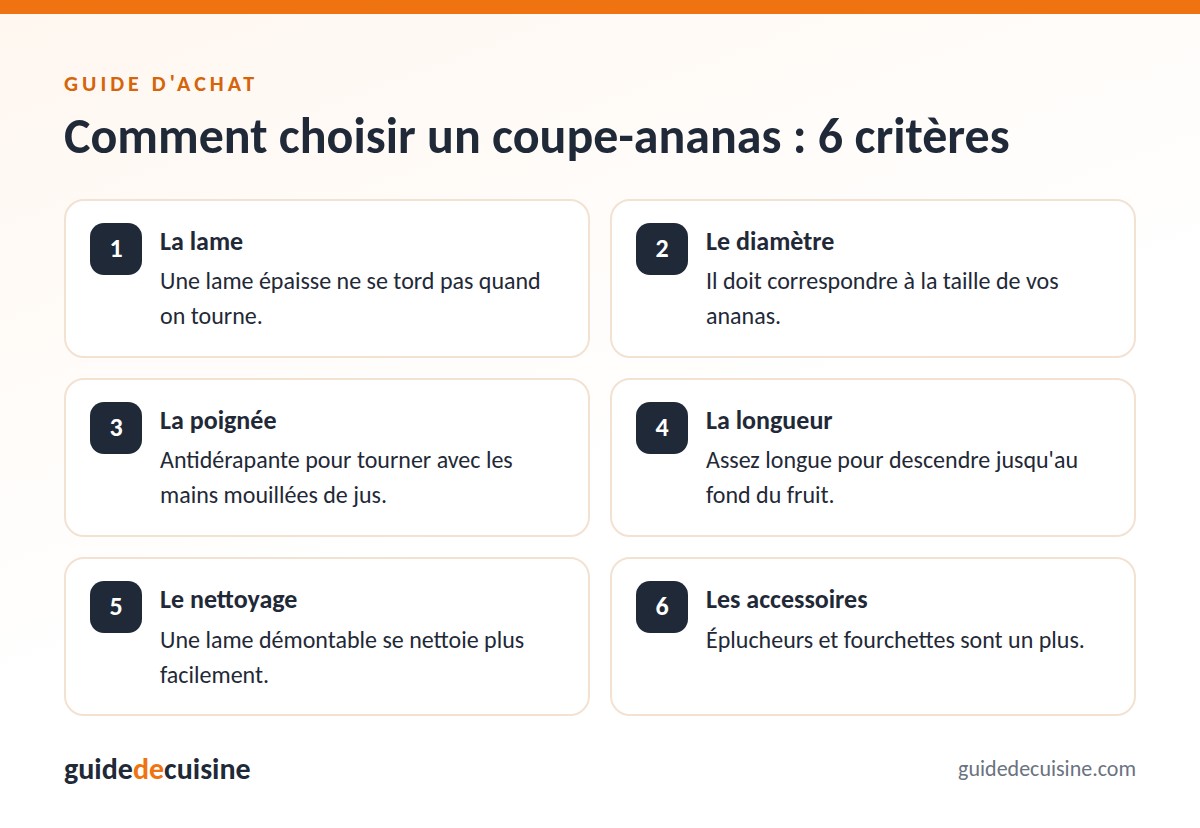 Infographie : les critères pour bien choisir un coupe-ananas