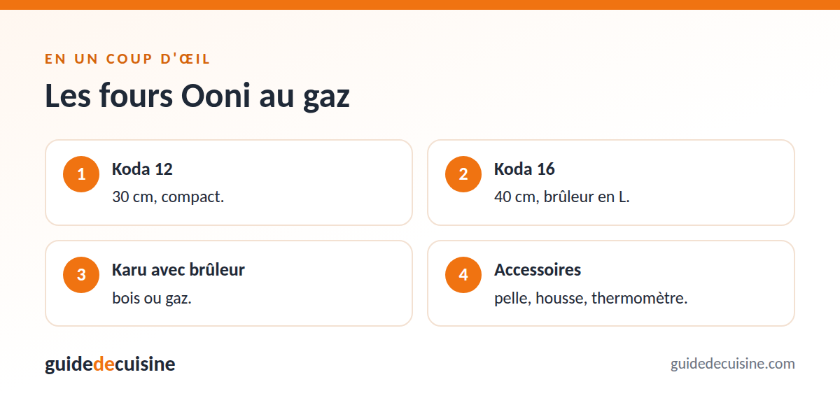 Infographie : les fours ooni au gaz