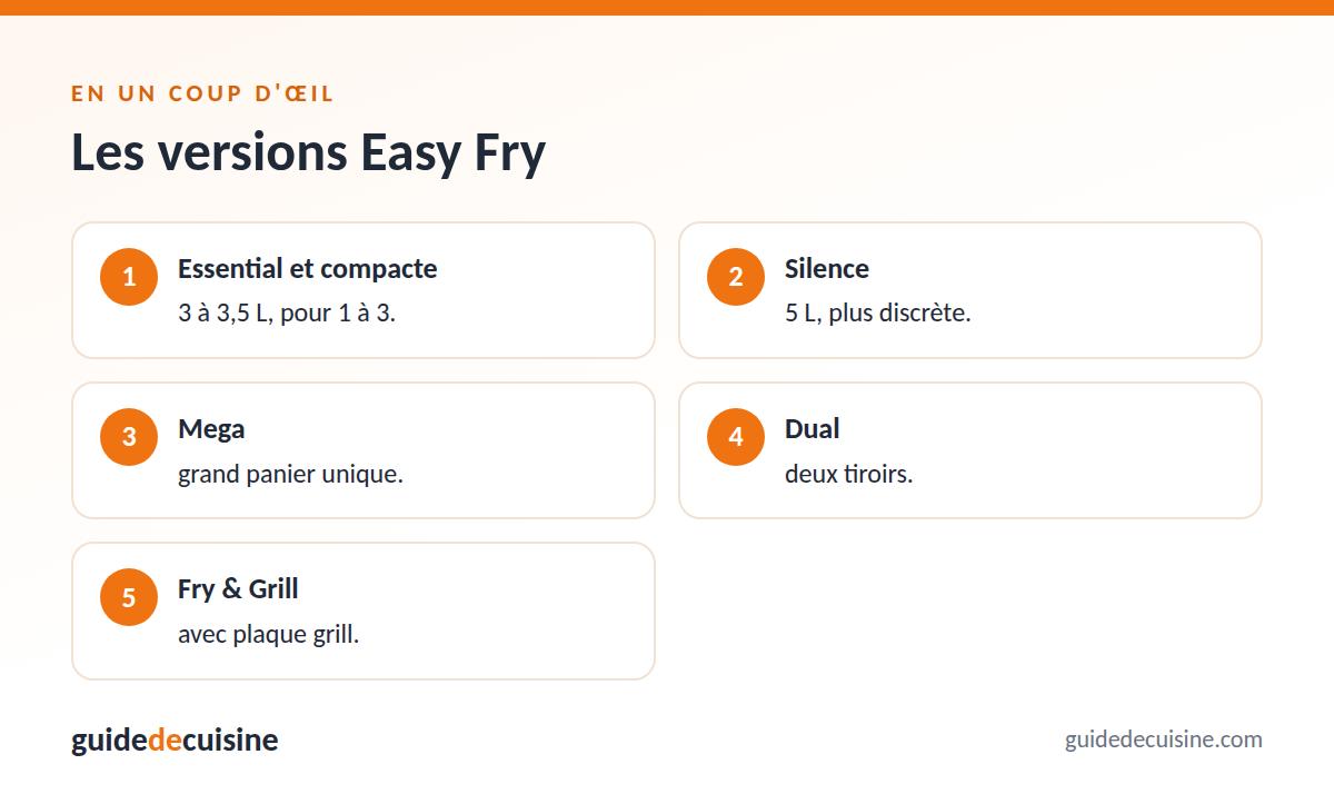 Infographie : les versions easy fry