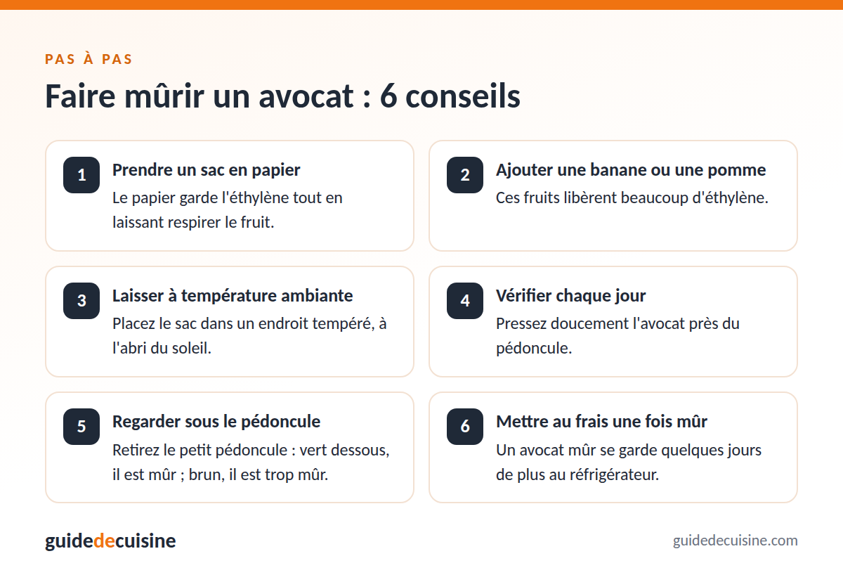 Infographie : faire mûrir un avocat