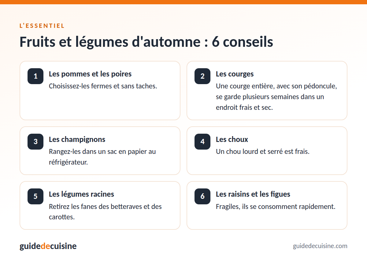 Infographie : fruits et légumes d'automne