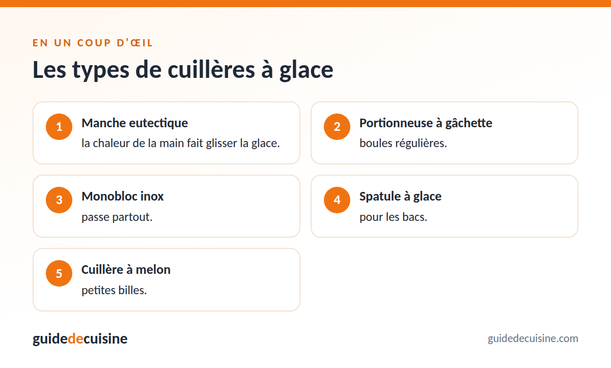 Infographie : les types de cuillères à glace
