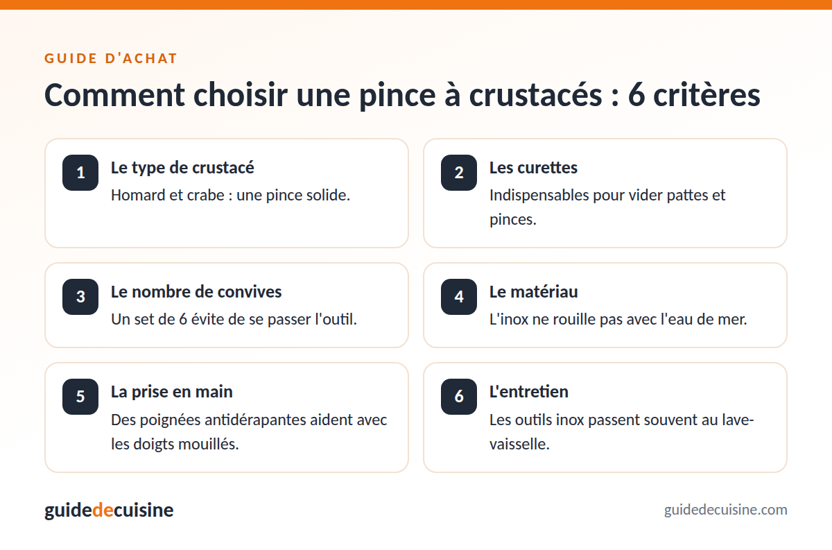 Infographie : les critères pour bien choisir une pince à crustacés