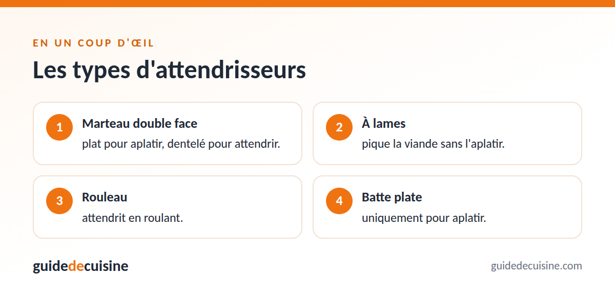Infographie : les types d'attendrisseurs