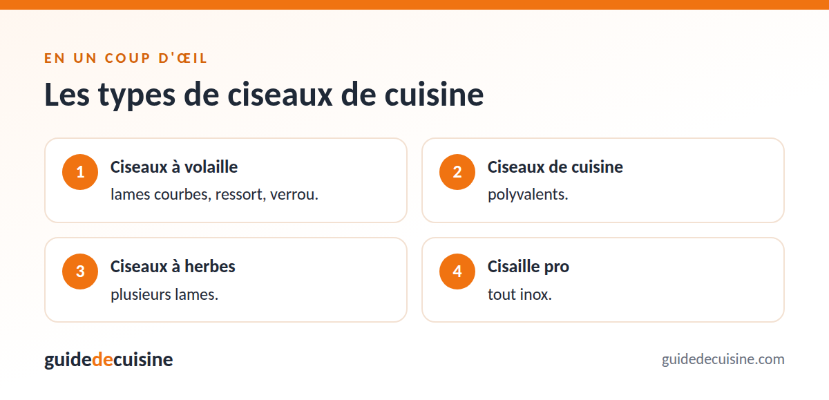 Infographie : les types de ciseaux de cuisine